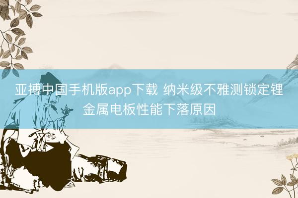 亚搏中国手机版app下载 纳米级不雅测锁定锂金属电板性能下落原因