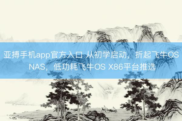 亚搏手机app官方入口 从初学启动,折起飞牛OS NAS,低功耗飞牛OS X86平台推选