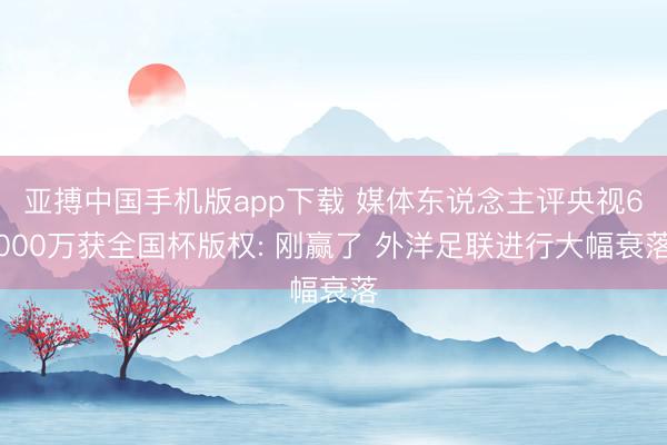 亚搏中国手机版app下载 媒体东说念主评央视6000万获全国杯版权: 刚赢了 外洋足联进行大幅衰落