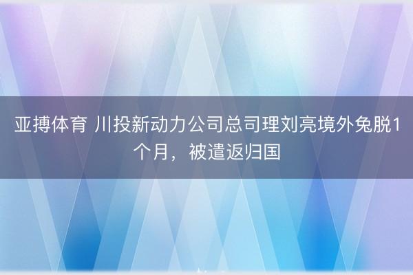 亚搏体育 川投新动力公司总司理刘亮境外兔脱1个月,被遣返归国