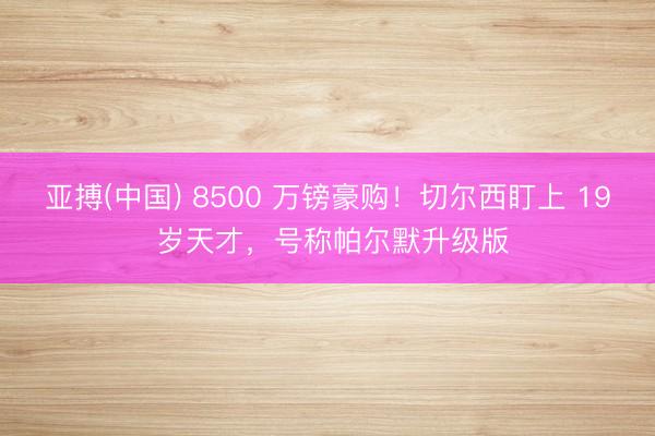 亚搏(中国) 8500 万镑豪购!切尔西盯上 19 岁天才,号称帕尔默升级版