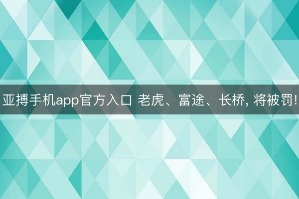 亚搏手机app官方入口 老虎、富途、长桥， 将被罚!