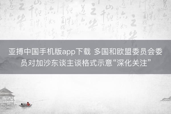 亚搏中国手机版app下载 多国和欧盟委员会委员对加沙东谈主谈格式示意“深化关注”