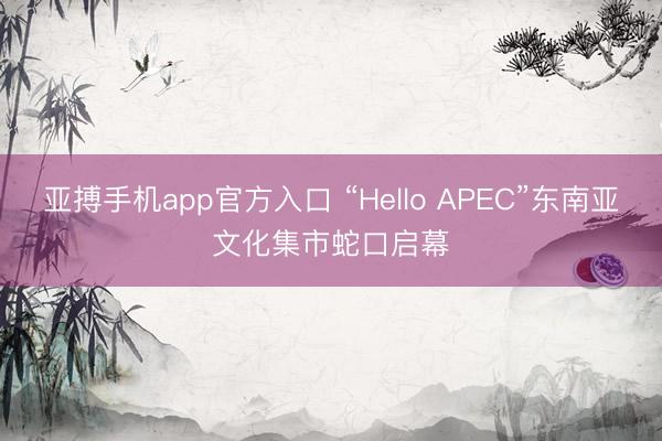 亚搏手机app官方入口 “Hello APEC”东南亚文化集市蛇口启幕
