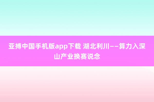 亚搏中国手机版app下载 湖北利川——算力入深山产业换赛说念